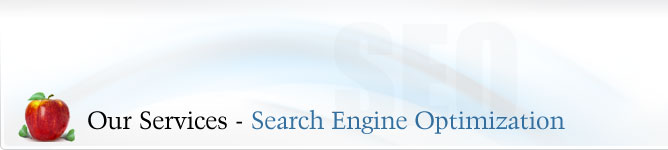Our Services - Search Engine Optimization